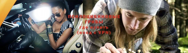винт Инта