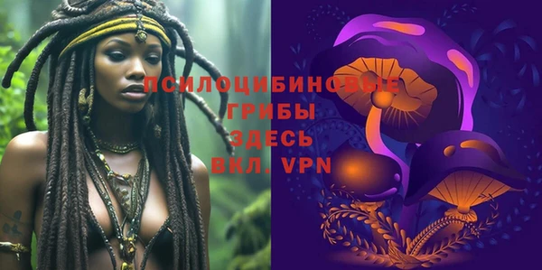 гидра Инсар