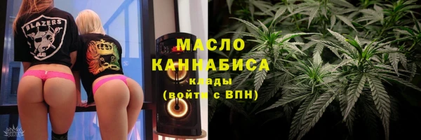 гидра Инсар