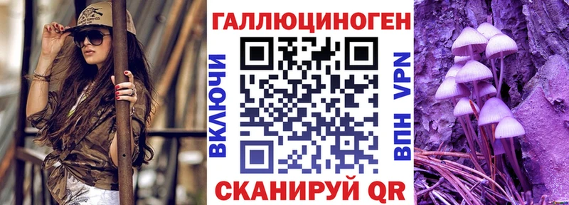 Галлюциногенные грибы Psilocybine cubensis  Купить закладки  Онега 